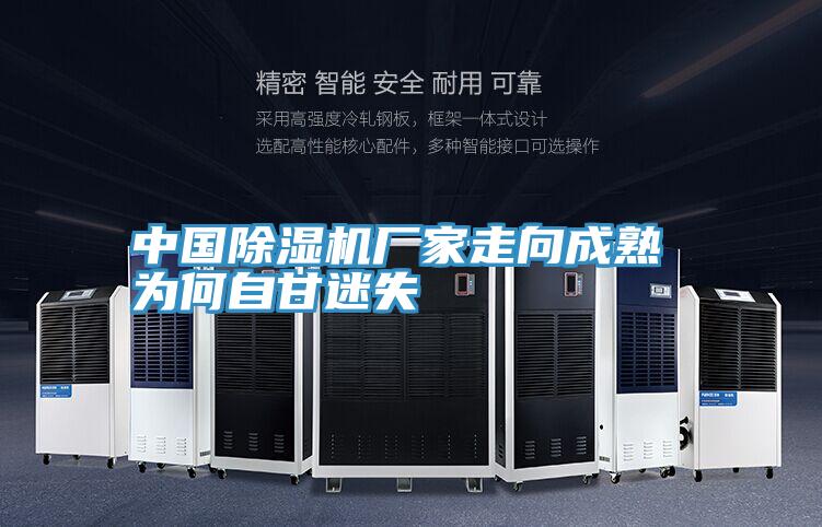 中國草莓视频污污污污廠家走向成熟 為何自甘迷失