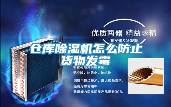 倉庫草莓视频污污污污怎麽防止貨物發黴