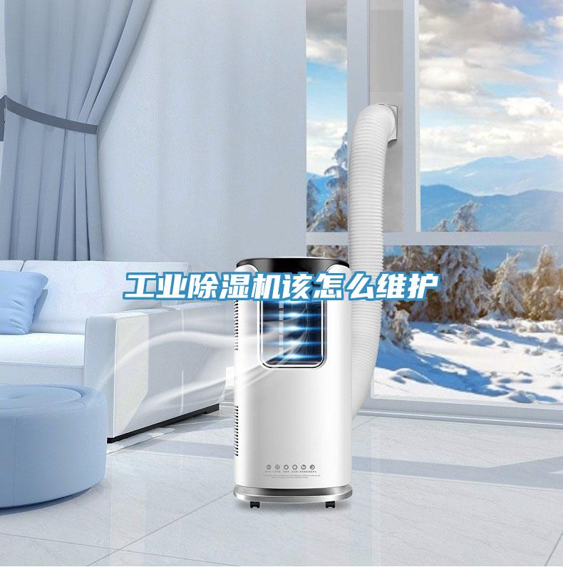 工業草莓视频污污污污該怎麽維護