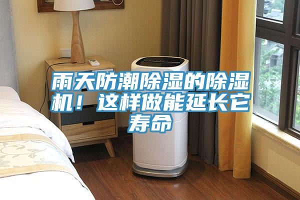 雨天防潮除濕的草莓视频污污污污！這樣做能延長它壽命