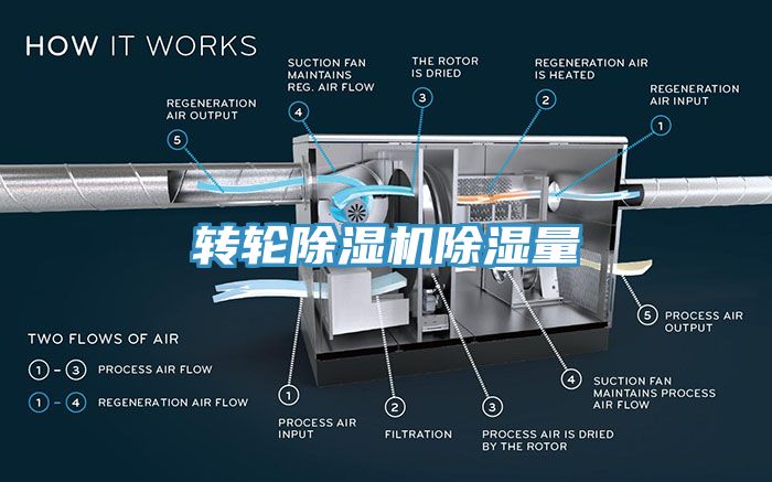 轉輪草莓视频污污污污除濕量